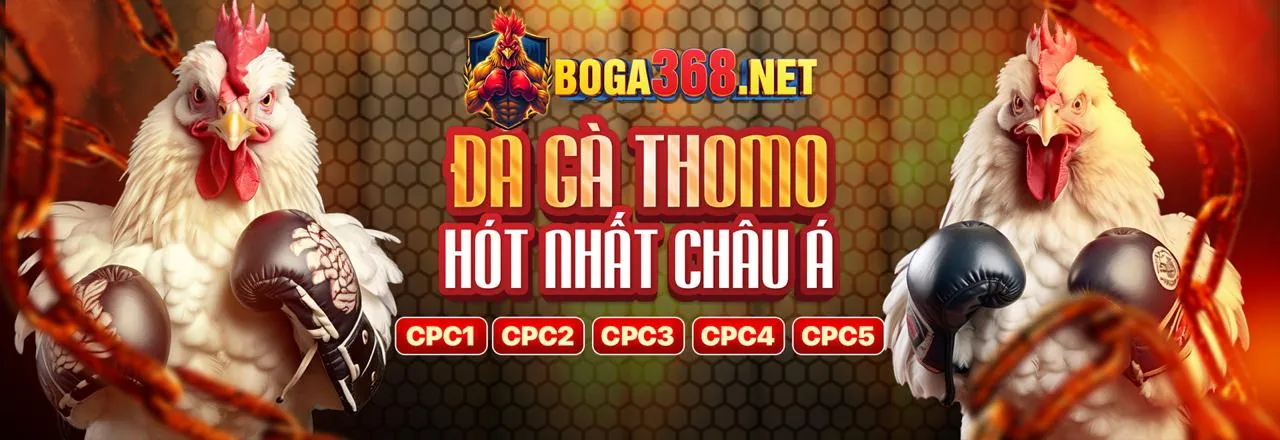 Đá gà trực tuyến 58win1 với các chương trình khuyến mãi hấp dẫn