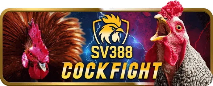 Đội ngũ chuyên gia 58win1 khuyến mãi